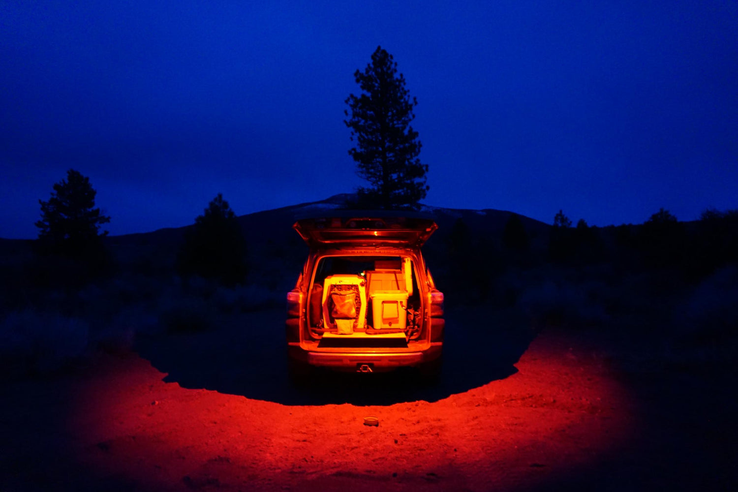 LED Dome Light w/Switch Clear Baja Designs