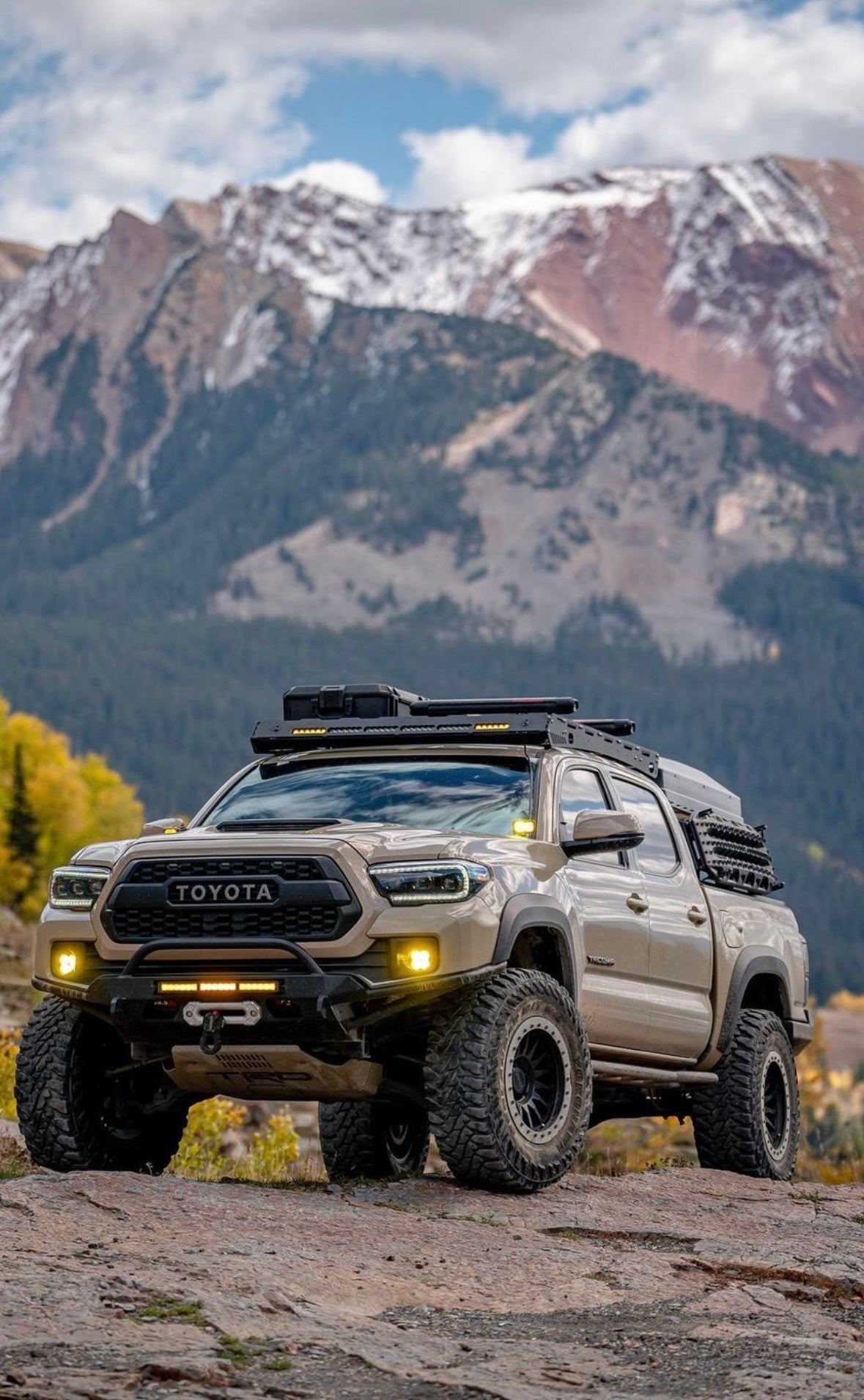 Protection Rings V1 - Precision Laser Cut