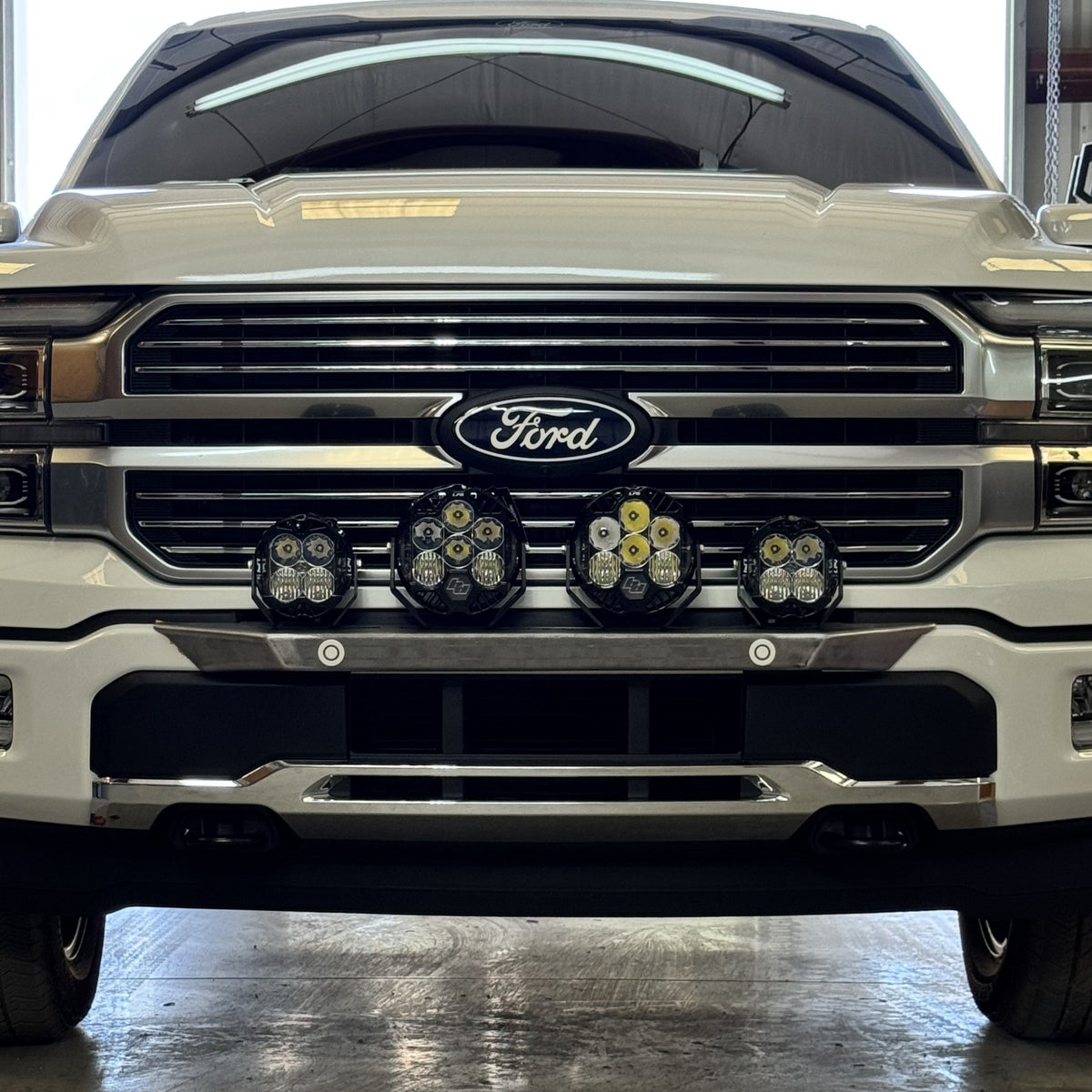 Accessory Mount/Gaurd - 24+ F150