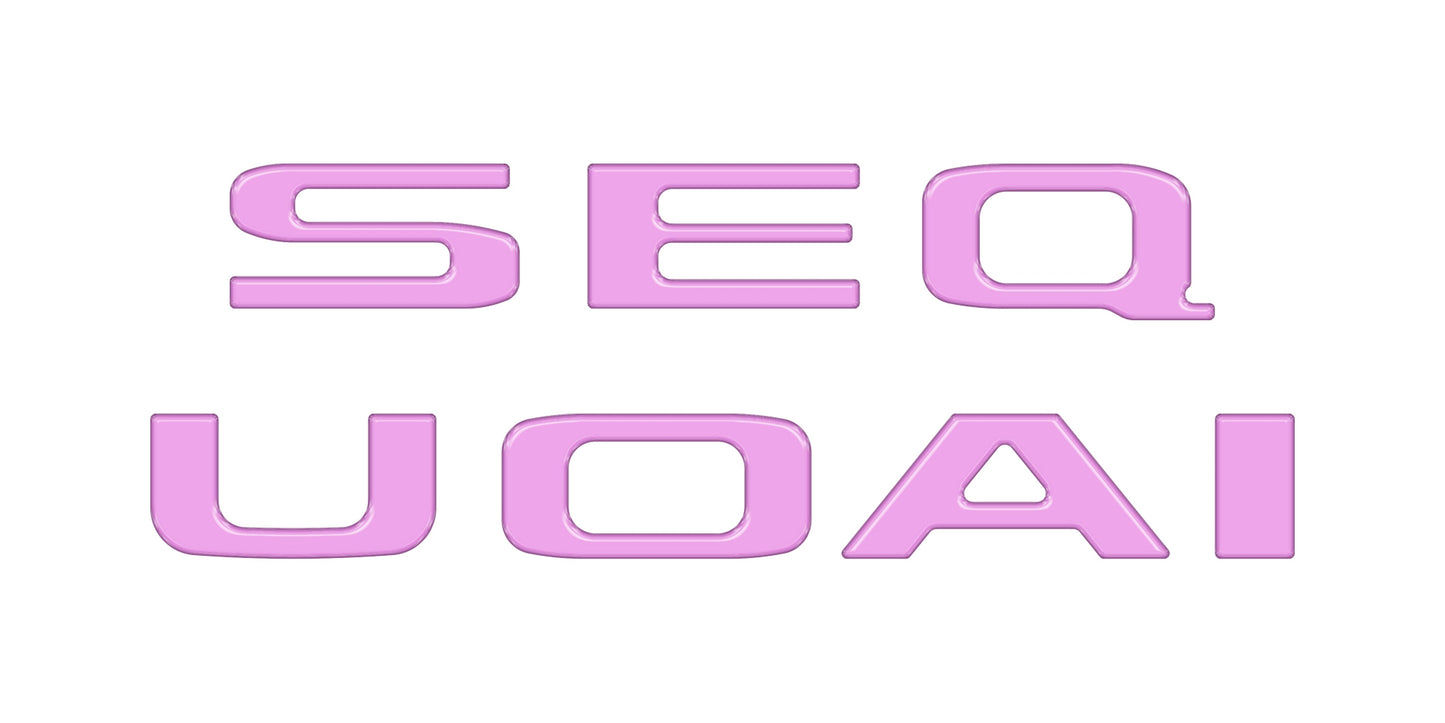Rear Hatch Letter Overlays Fits 2023-2026 Toyota Sequoia