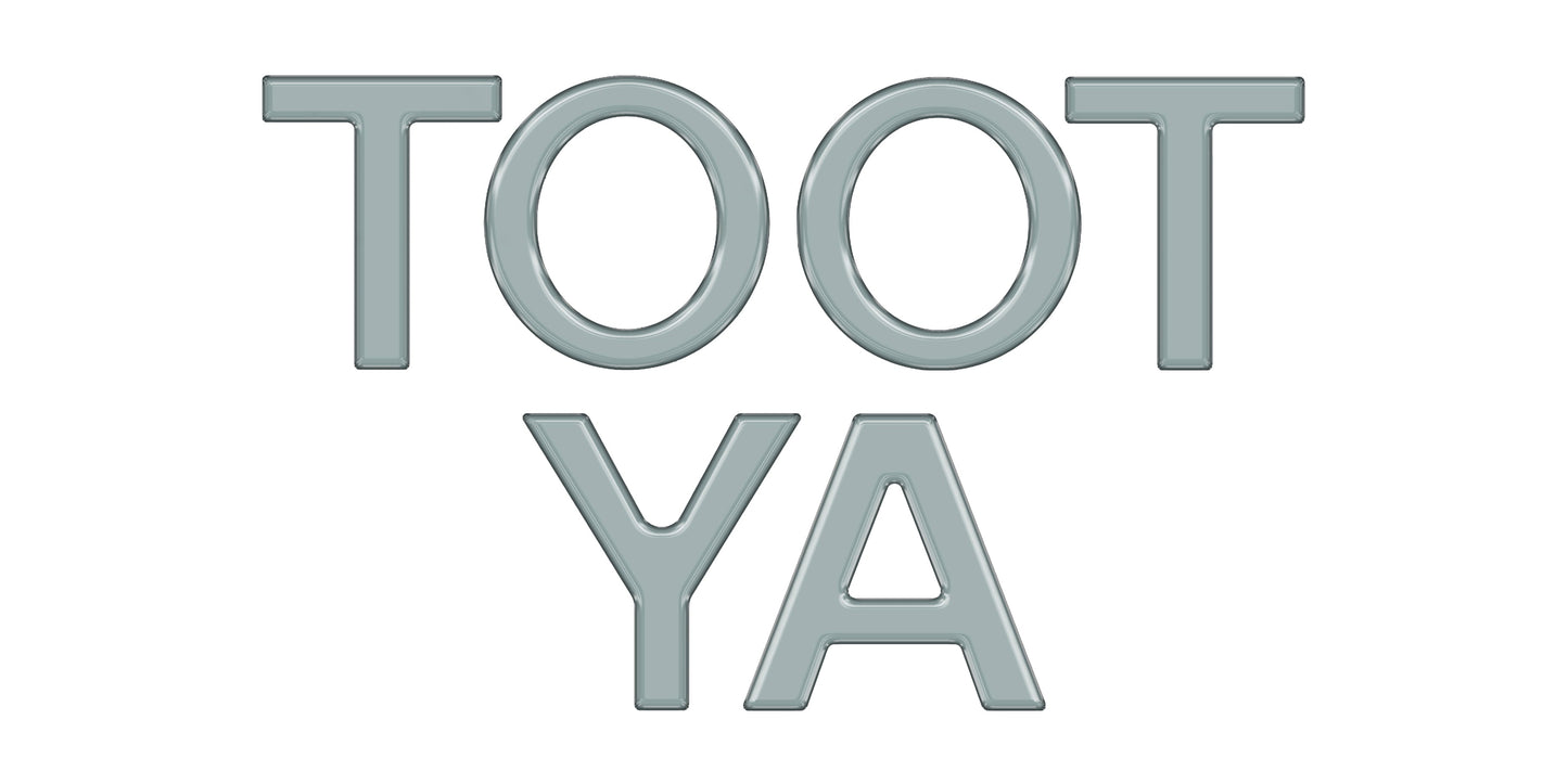 Grille Letter Overlays Fits 2016-2026 Toyota Tacoma